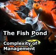 Project Management And The Fish Pond