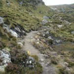 Focus on the path to the goal, not on the hazards