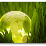 Working on a Sustainable Future