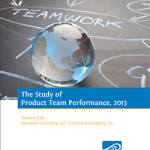 The 2013 Study of Product Team Performance
