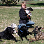 Taking Responsibility: what dog training can teach us about management