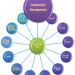 The Complete Project Manager - Leadership/Management