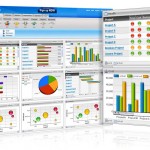 Strategy Execution through Project Success