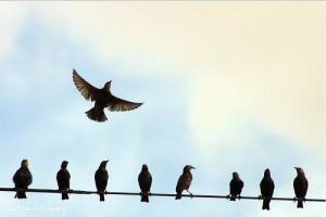 The Disfavor of Doing Favors
