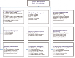 Figure 1 – Silicon Valley Project Management